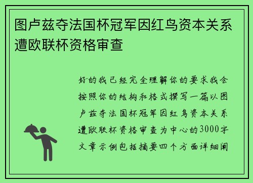 图卢兹夺法国杯冠军因红鸟资本关系遭欧联杯资格审查