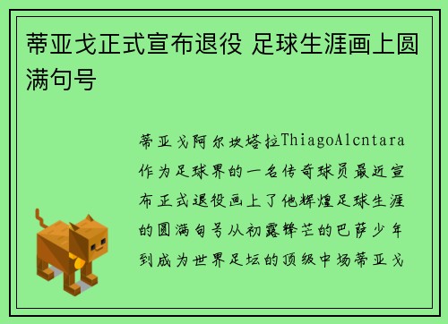 蒂亚戈正式宣布退役 足球生涯画上圆满句号