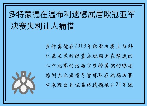 多特蒙德在温布利遗憾屈居欧冠亚军 决赛失利让人痛惜